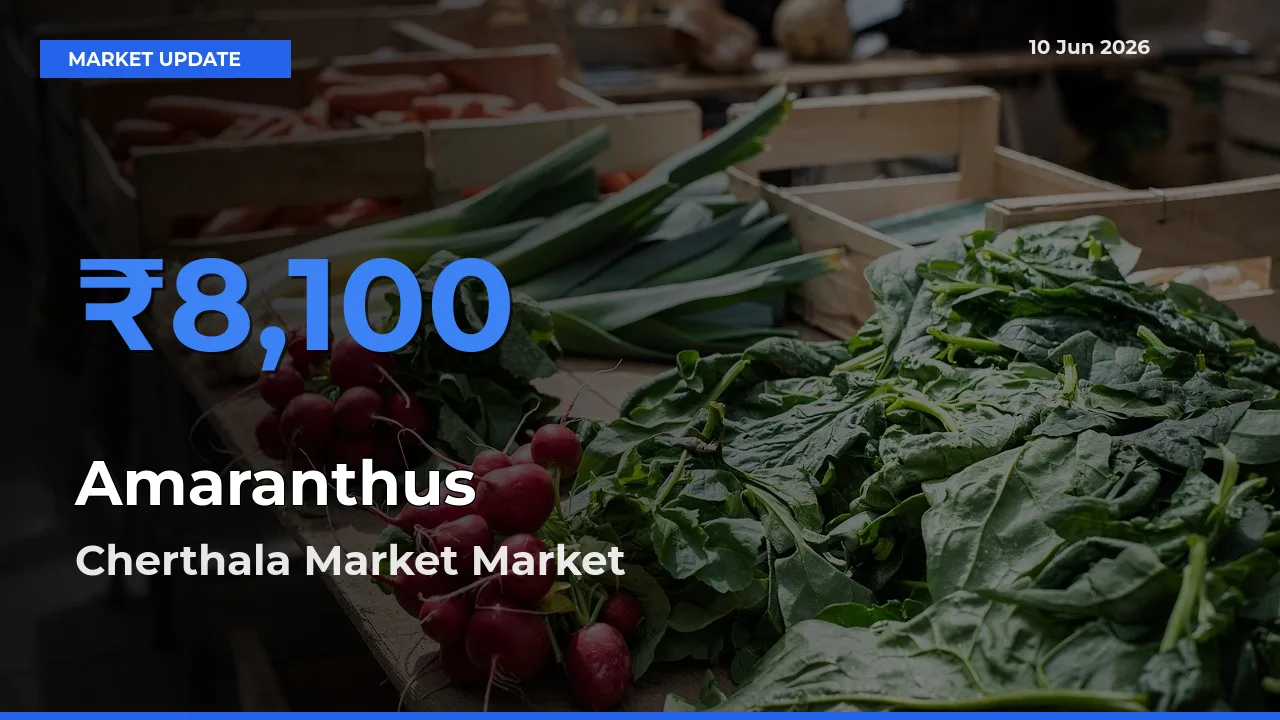 Cherthala Market Tops Amaranthus Rates – June 10 Market Update