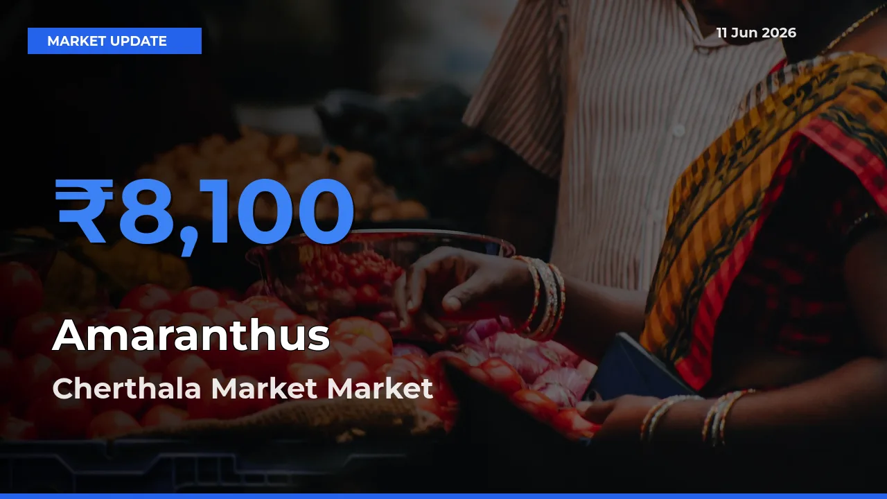 Market Watch: Cherthala Market Becomes Top Mandi for Amaranthus