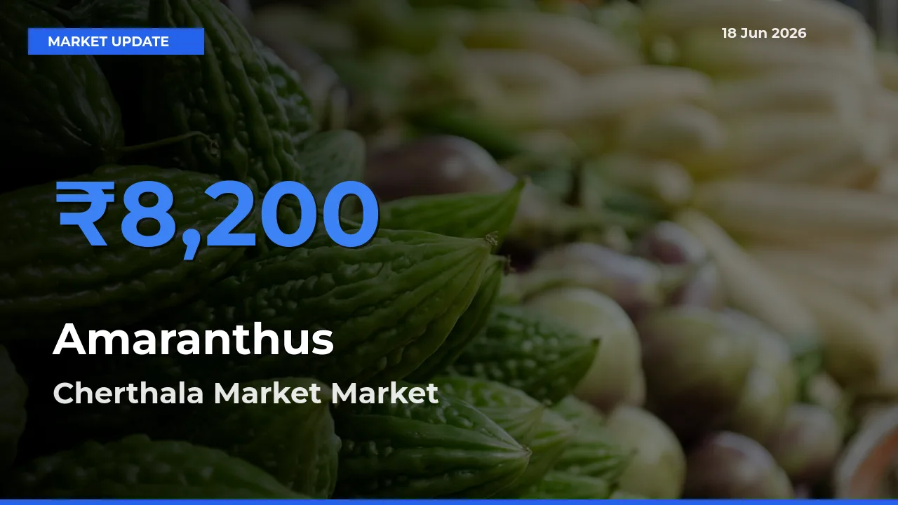 Cherthala Market Tops Amaranthus Mandi Rates Today