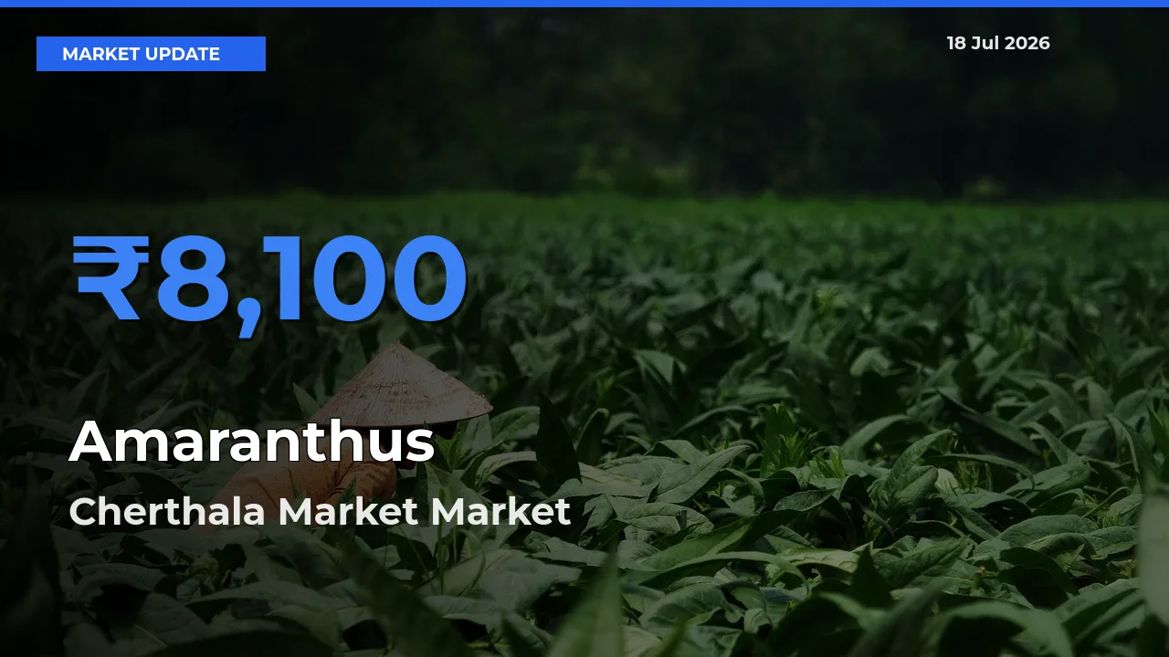 Market Watch: Cherthala Market Becomes Top Mandi for Amaranthus