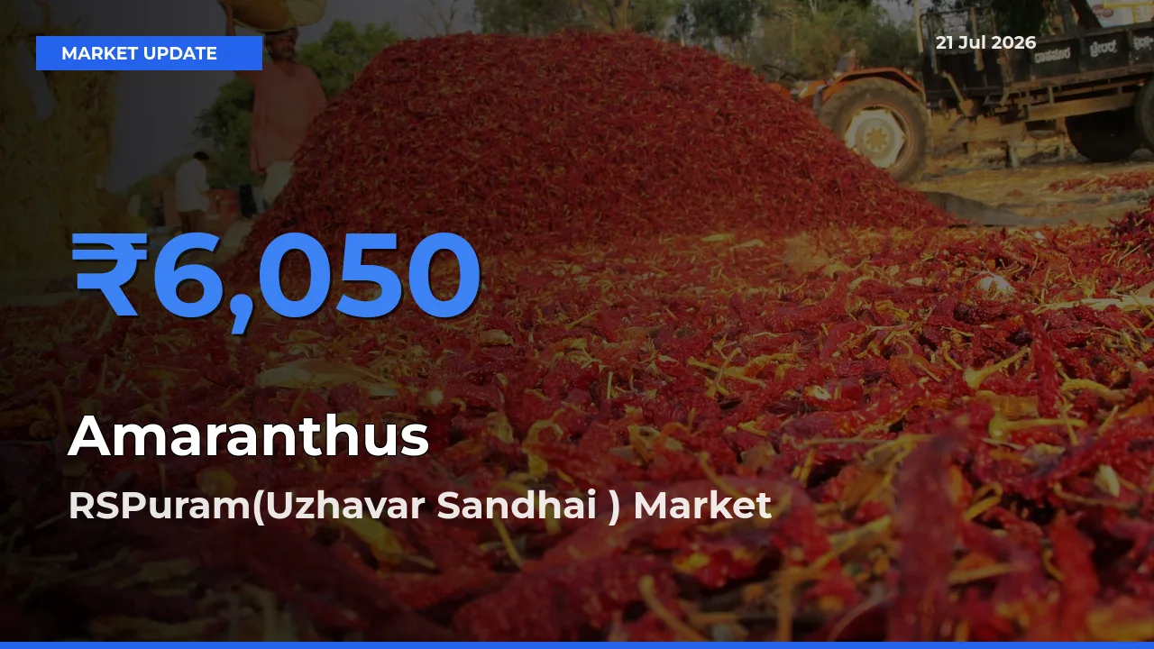 Amaranthus Mandi Rate Today: RSPuram(Uzhavar Sandhai ) Tops the List