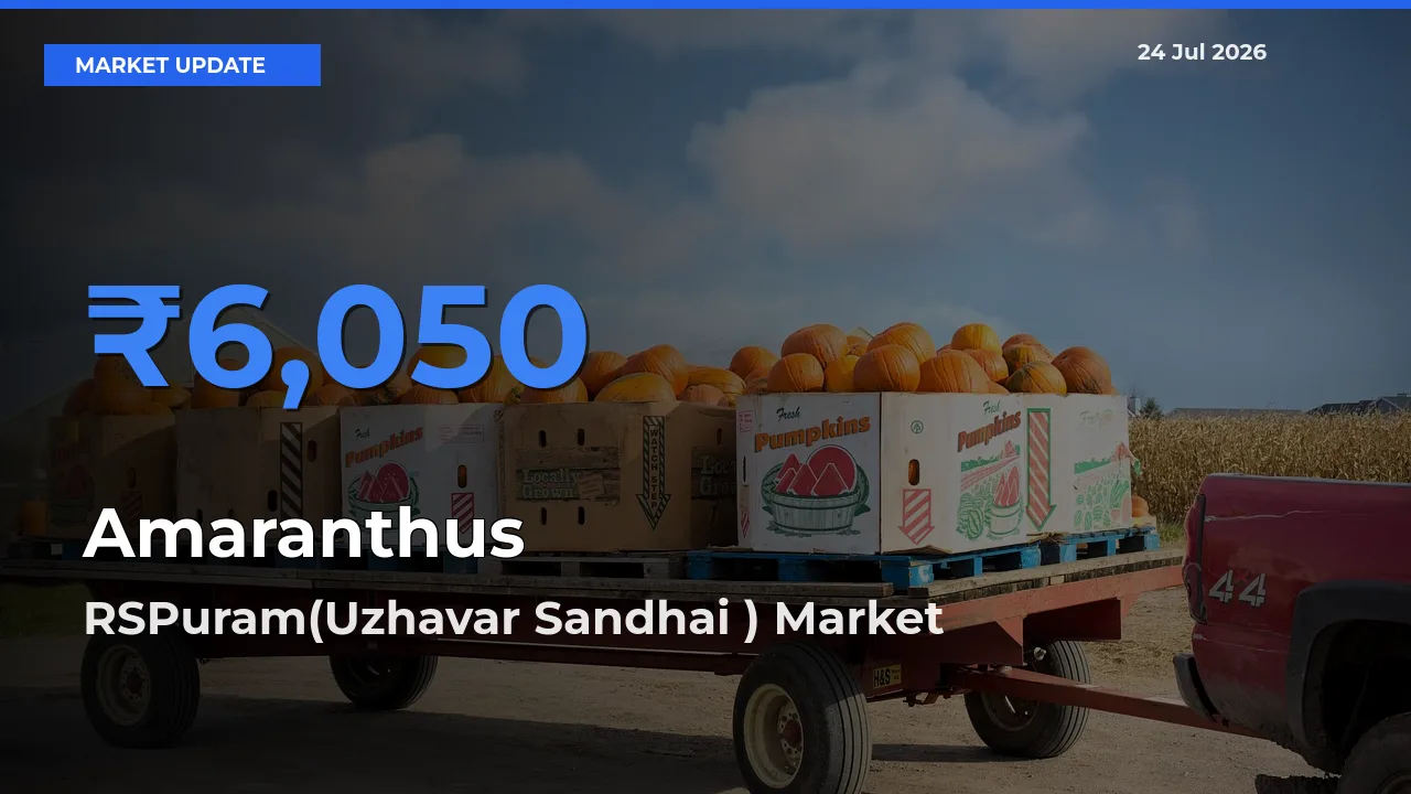 Market Watch: RSPuram(Uzhavar Sandhai ) Becomes Top Mandi for Amaranthus