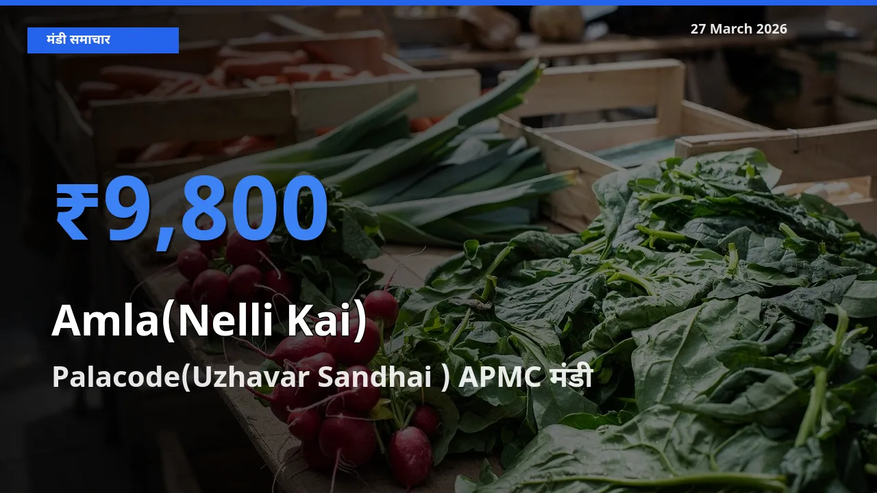 किसानों की पसंद बना Palacode(Uzhavar Sandhai ) APMC, आंवला के सबसे अच्छे दाम