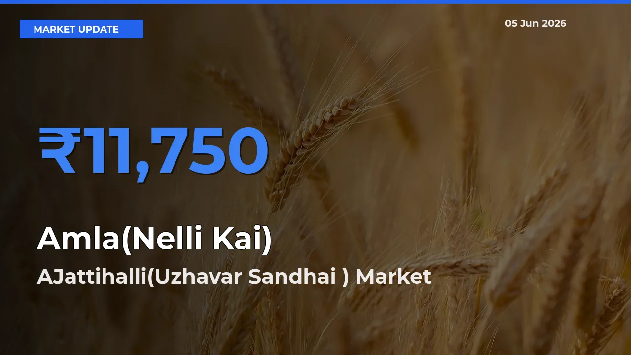 AJattihalli(Uzhavar Sandhai ) Tops Amla(Nelli Kai) Rates – June 05 Market Update