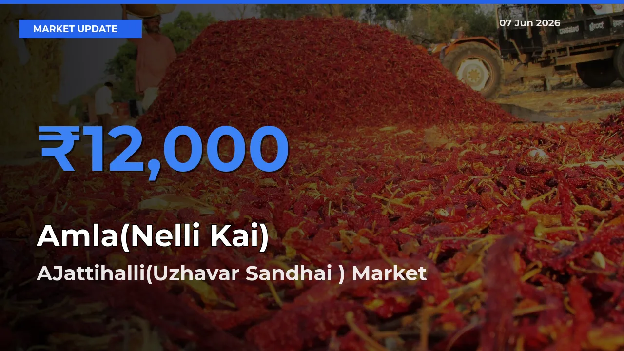 AJattihalli(Uzhavar Sandhai ) Tops Amla(Nelli Kai) Mandi Rates Today