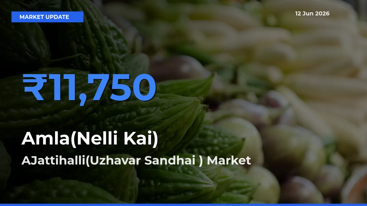 AJattihalli(Uzhavar Sandhai ) Emerges as Top Mandi for Amla(Nelli Kai) Prices Today