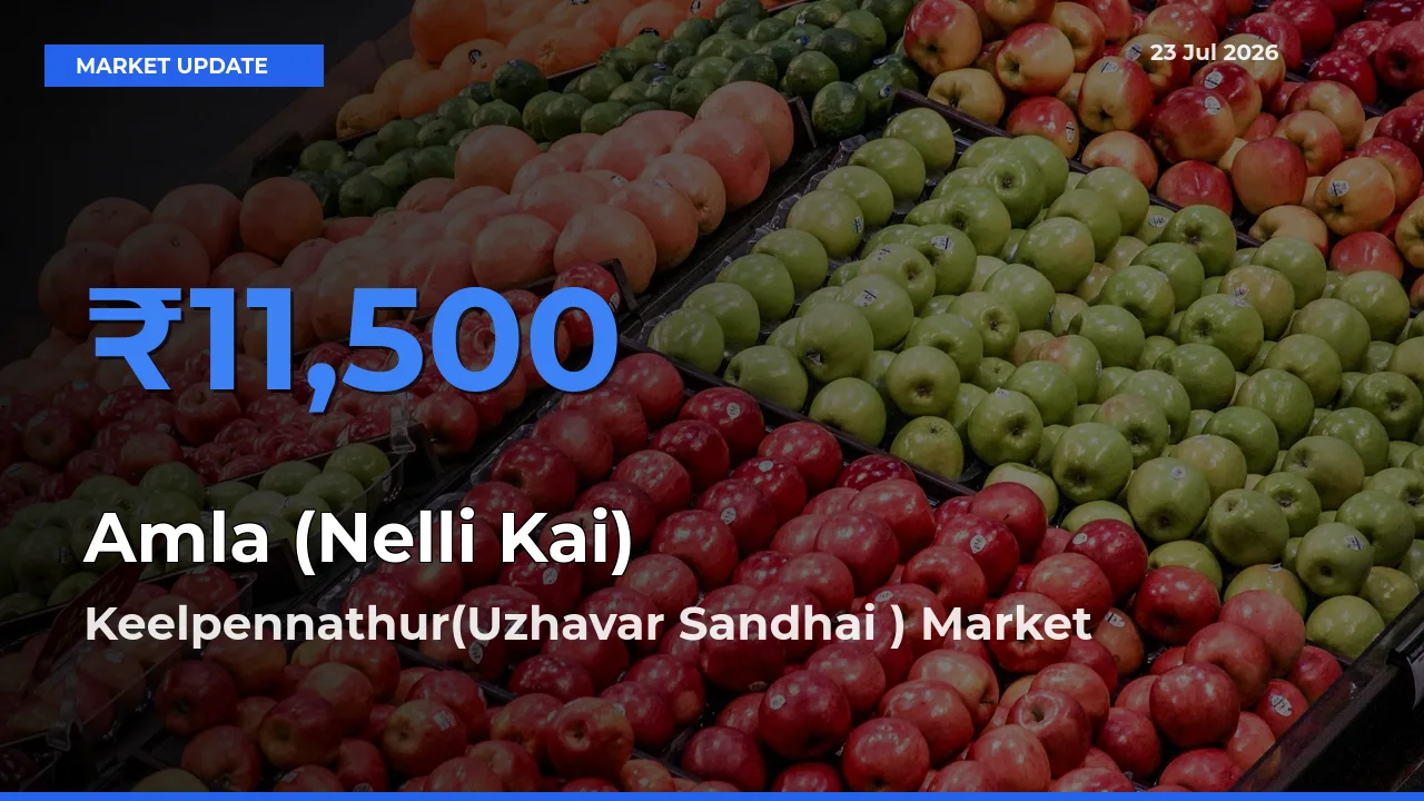 Keelpennathur(Uzhavar Sandhai ) Tops Amla (Nelli Kai) Mandi Rates Today