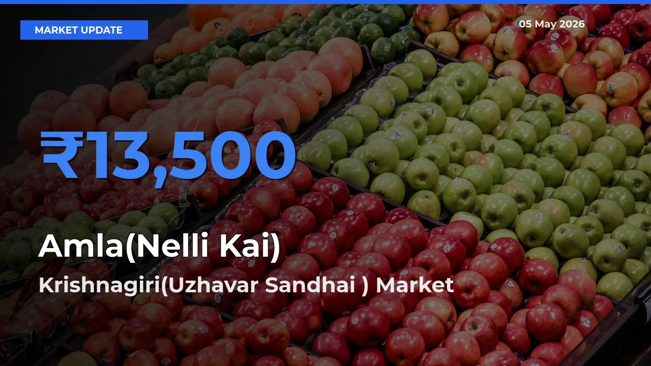 Krishnagiri(Uzhavar Sandhai ) Leads as Top Mandi for Amla(Nelli Kai) Prices