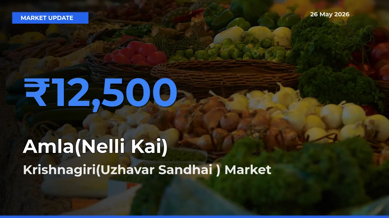Market Watch: Krishnagiri(Uzhavar Sandhai ) Becomes Top Mandi for Amla(Nelli Kai)