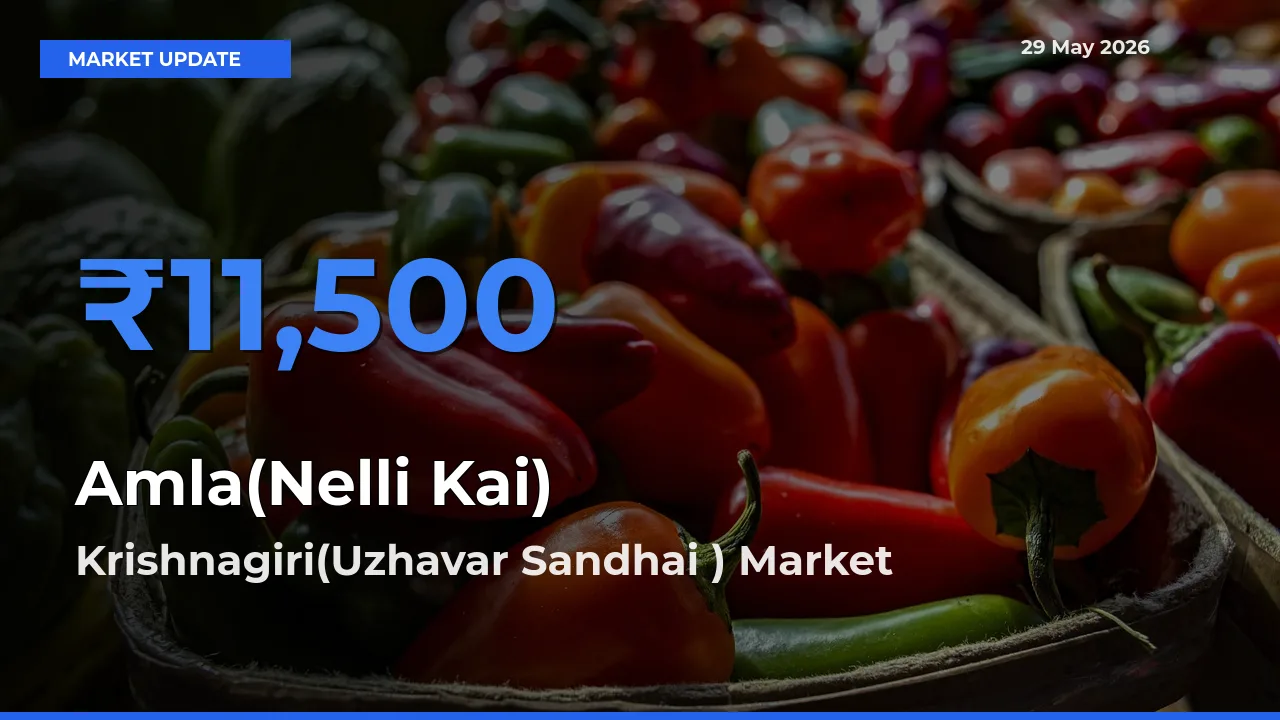 Market Watch: Krishnagiri(Uzhavar Sandhai ) Becomes Top Mandi for Amla(Nelli Kai)