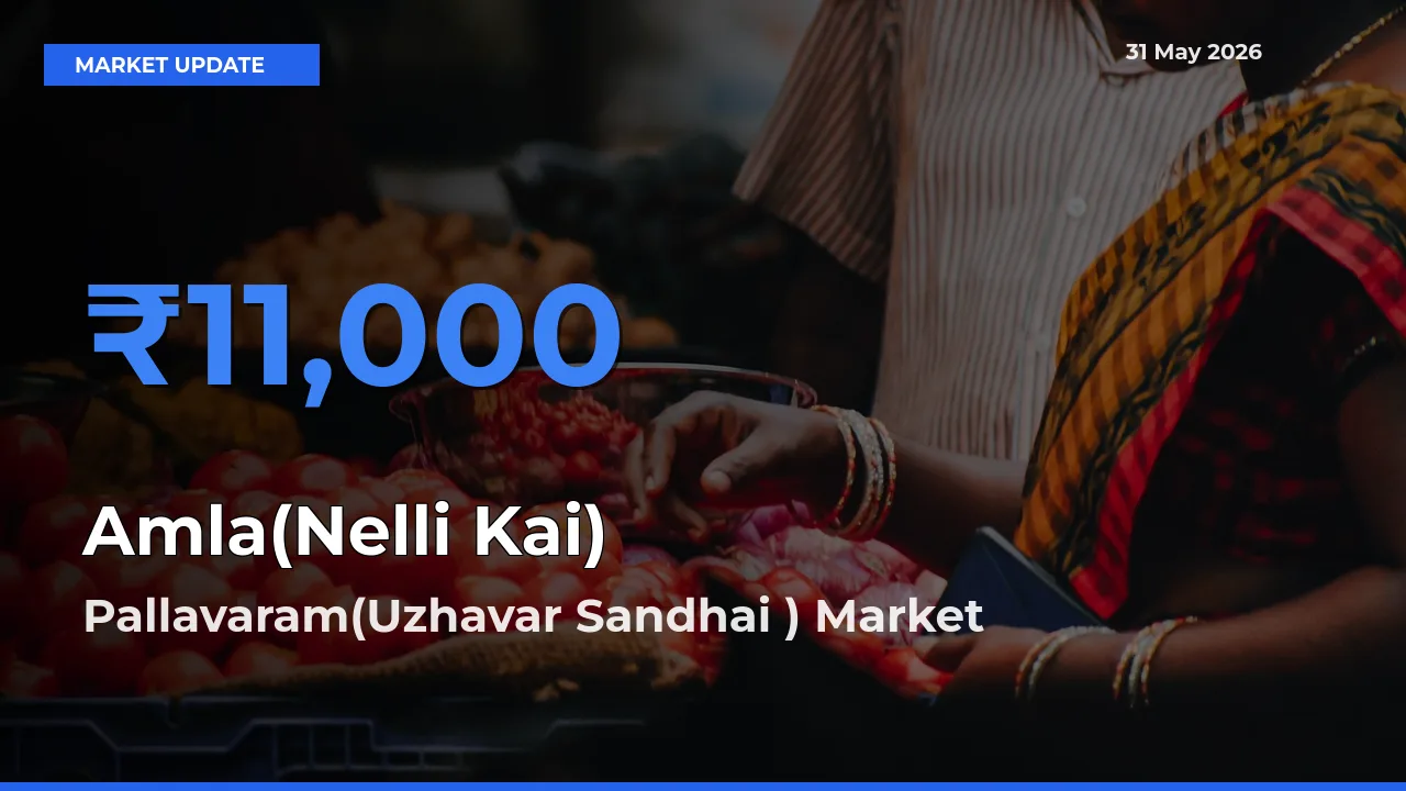 Market Watch: Pallavaram(Uzhavar Sandhai ) Becomes Top Mandi for Amla(Nelli Kai)
