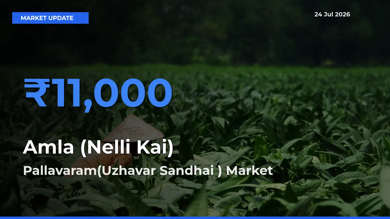 Pallavaram(Uzhavar Sandhai ) Tops Amla (Nelli Kai) Mandi Rates Today