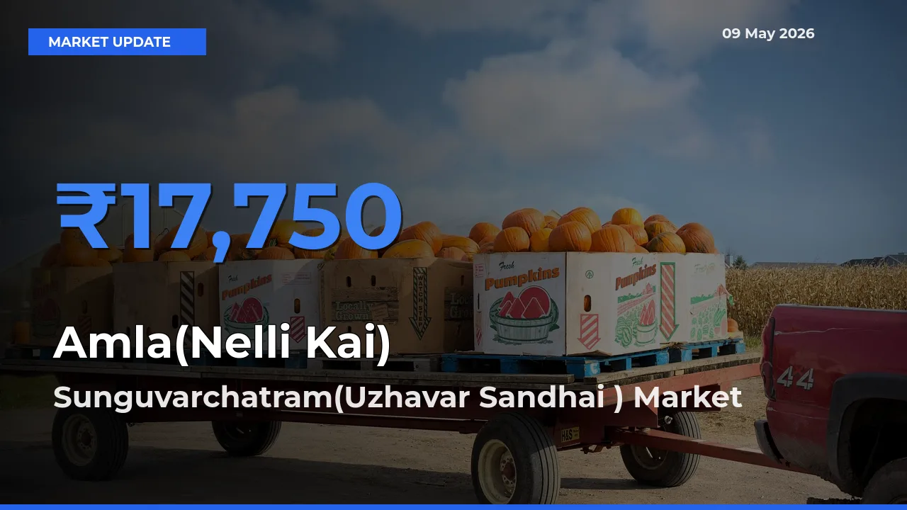 Sunguvarchatram(Uzhavar Sandhai ) Tops Amla(Nelli Kai) Rates – May 09 Market Update
