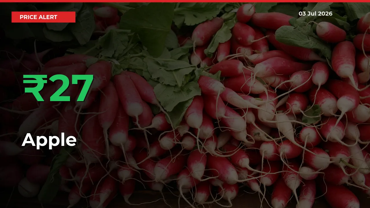 Apple Prices Rise 26.89% in a Day at Major Mandis
