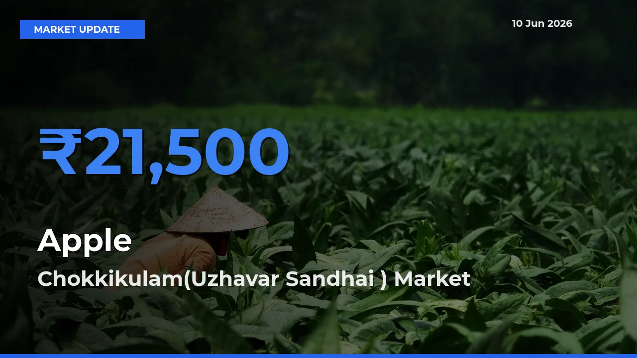 Market Watch: Chokkikulam(Uzhavar Sandhai ) Becomes Top Mandi for Apple