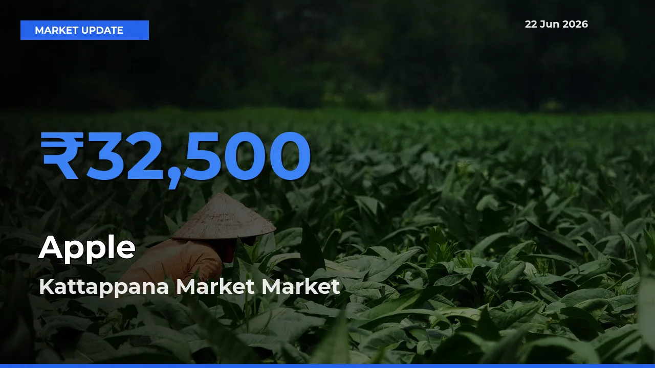 Kattappana Market Tops Apple Rates – June 22 Market Update