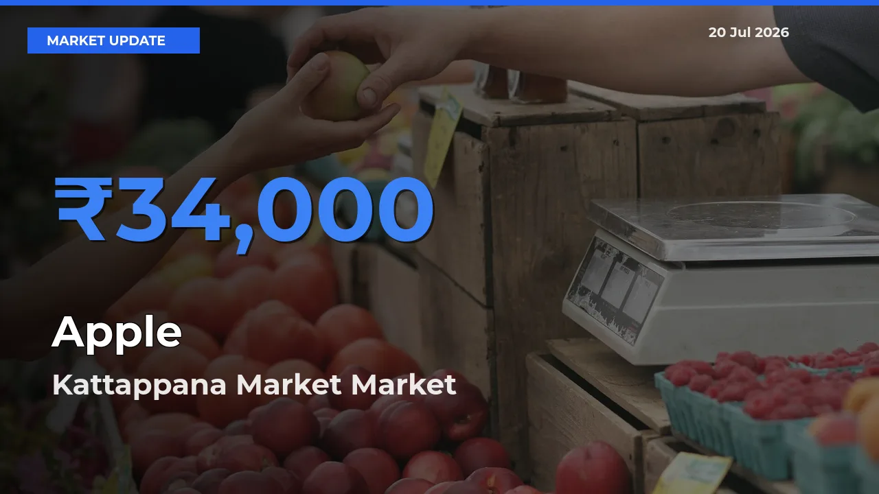 Kattappana Market Offers ₹34,000 – Highest Apple Rate Today