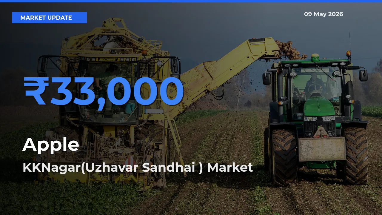 Market Watch: KKNagar(Uzhavar Sandhai ) Becomes Top Mandi for Apple