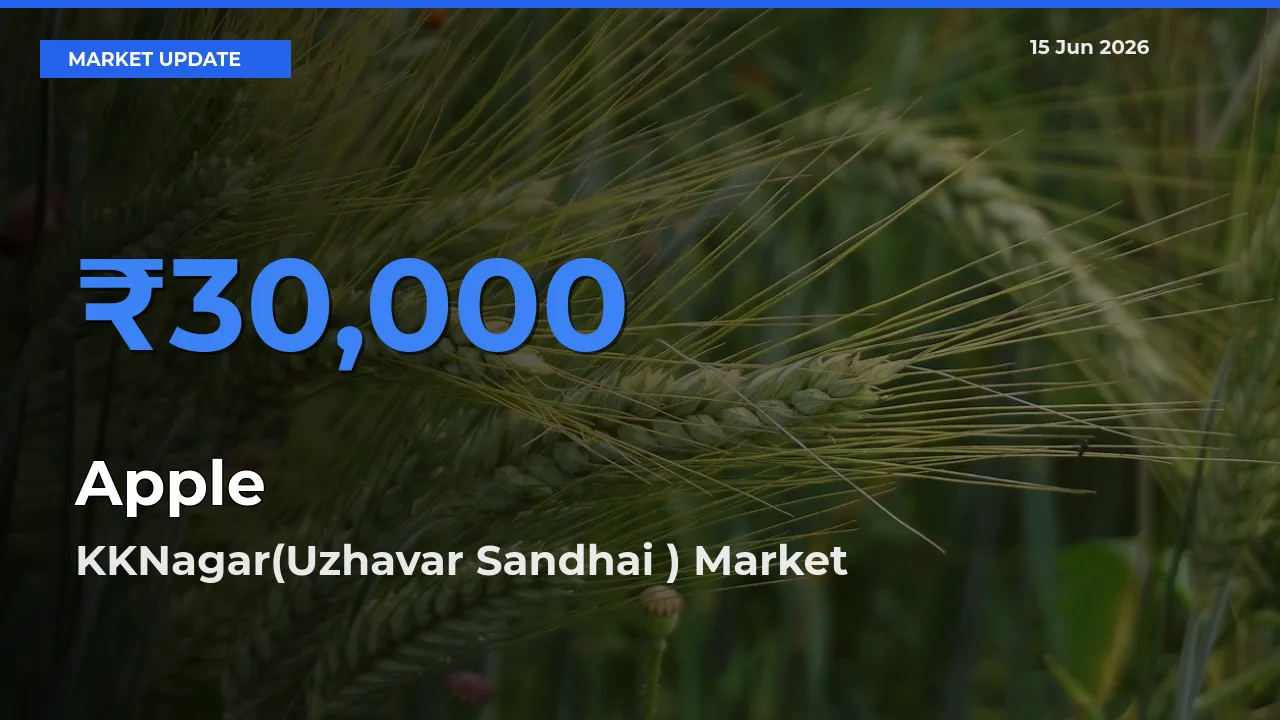 KKNagar(Uzhavar Sandhai ) Emerges as Top Mandi for Apple Prices Today