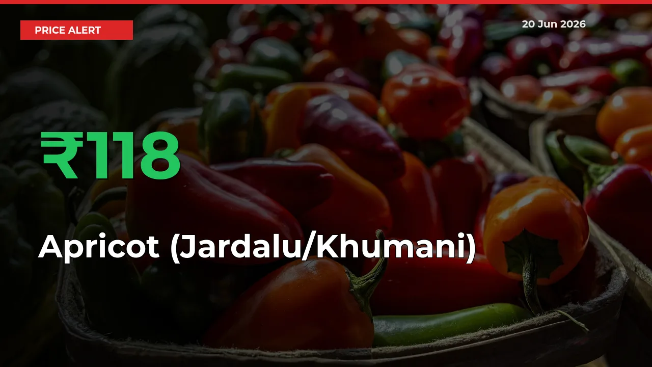 Apricot (Jardalu/Khumani) Rises 117.92% at Mandis