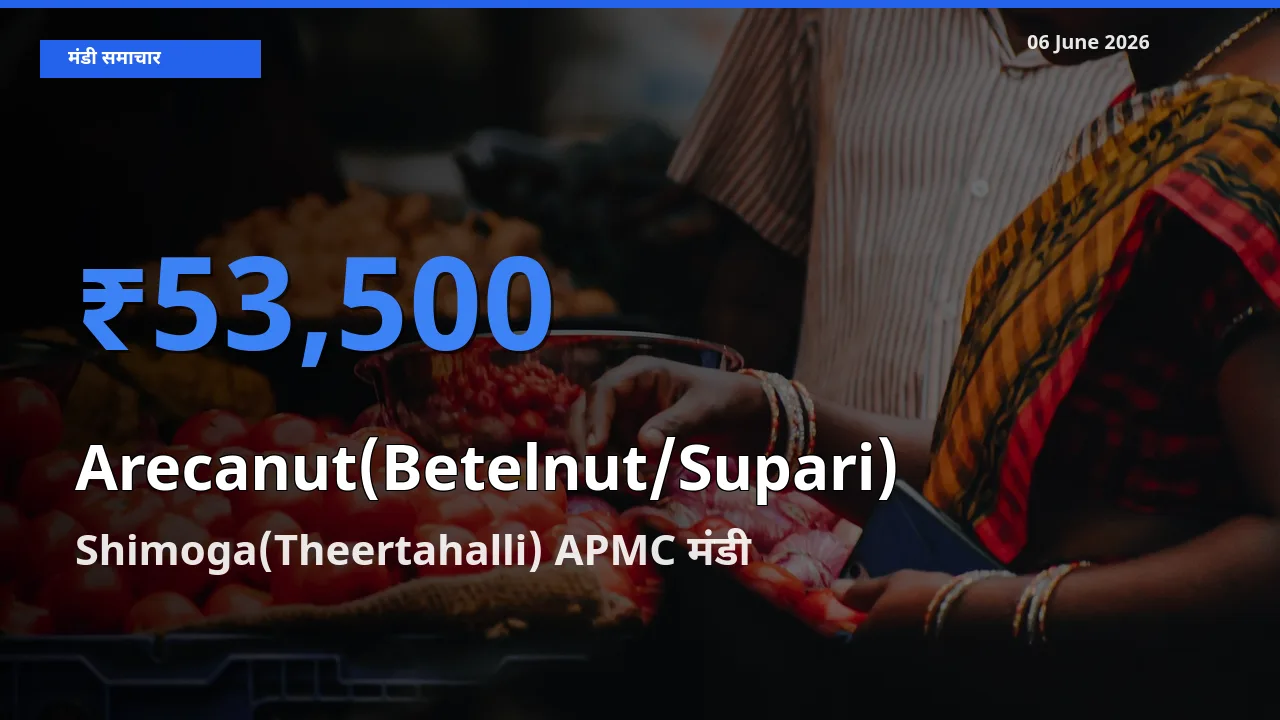 किसानों की पसंद बना Shimoga(Theertahalli) APMC, सुपारी के सबसे अच्छे दाम