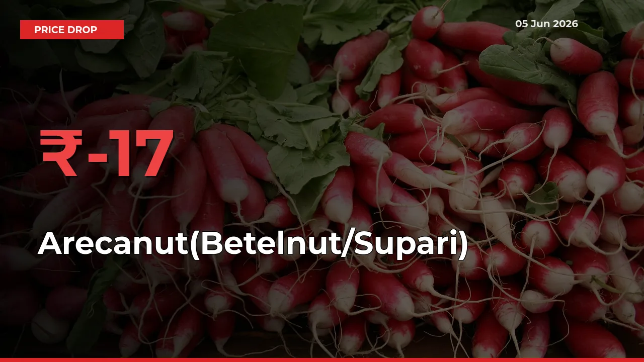 Why Arecanut(Betelnut/Supari) Prices Fell 17.29% in a Day at Mandis