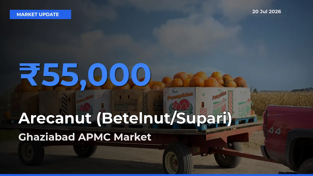 Ghaziabad APMC Leads as Top Mandi for Arecanut (Betelnut/Supari) Prices