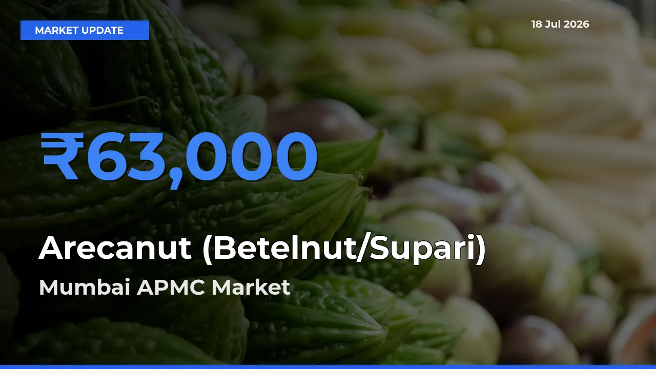 Mumbai APMC Offers ₹63,000 – Highest Arecanut (Betelnut/Supari) Rate Today