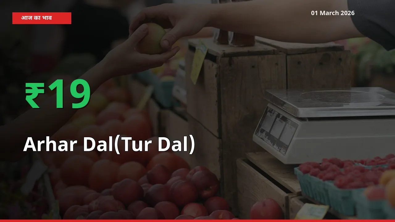 01 March अपडेट: Arhar Dal(Tur Dal) के दाम मंडी में 18.88% उछले