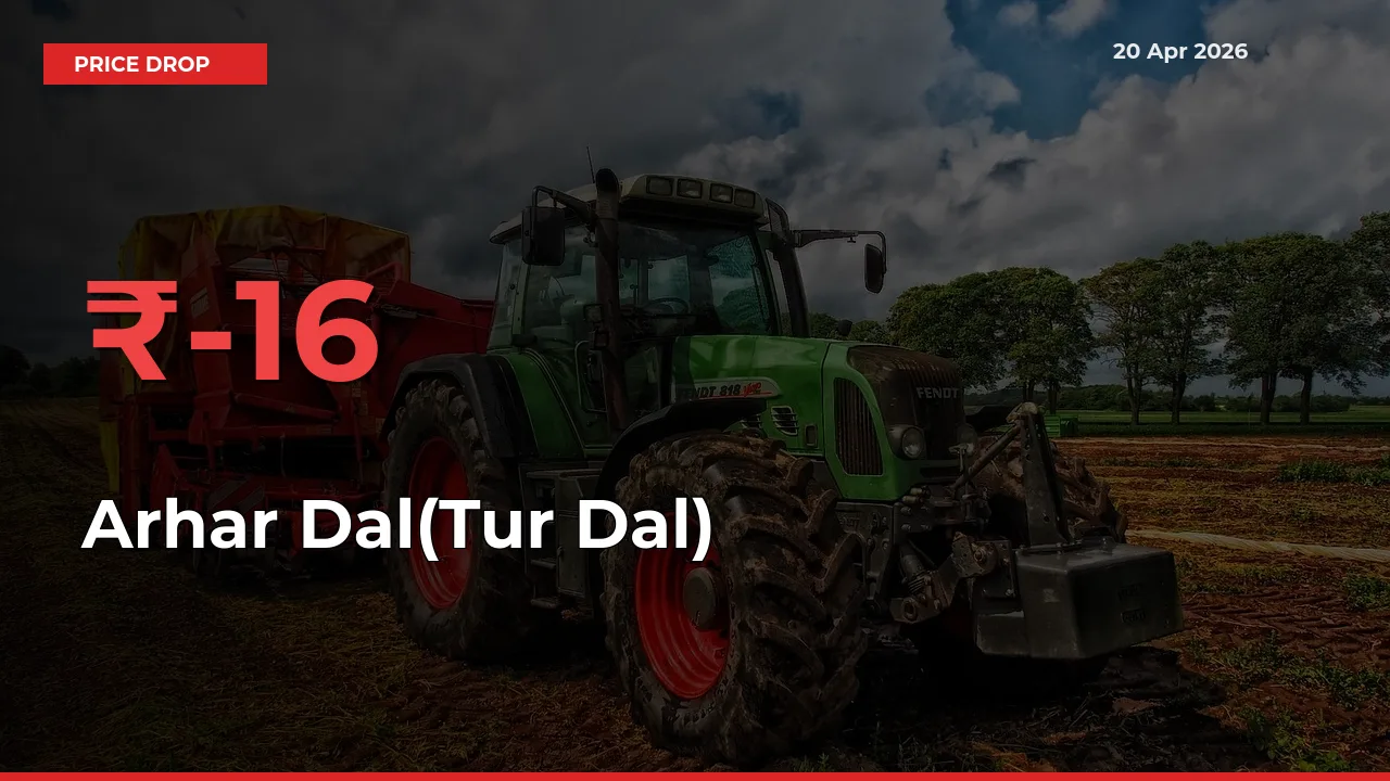 Farmers Alert as Arhar Dal(Tur Dal) Prices Slide 16.39% in Local Mandis