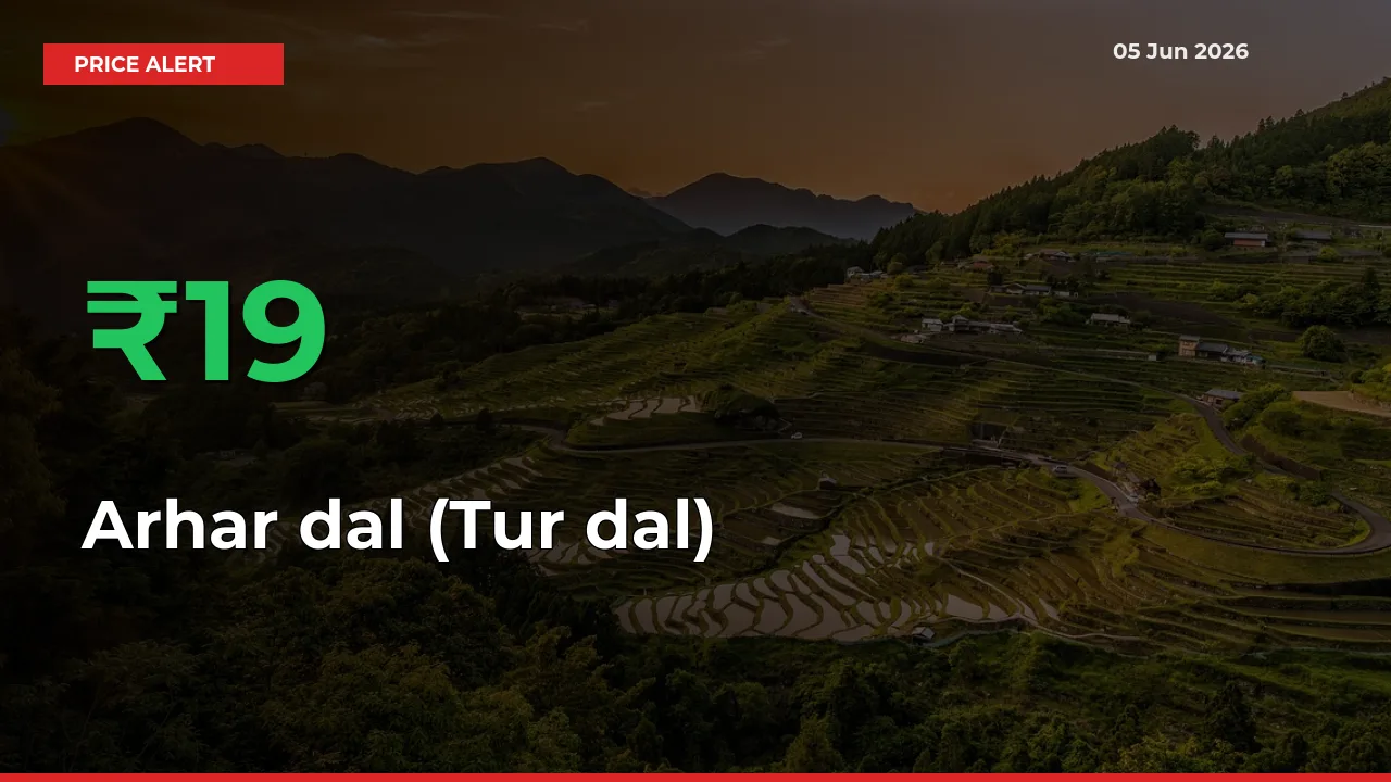 Arhar dal (Tur dal) Rises 19.11% at Mandis