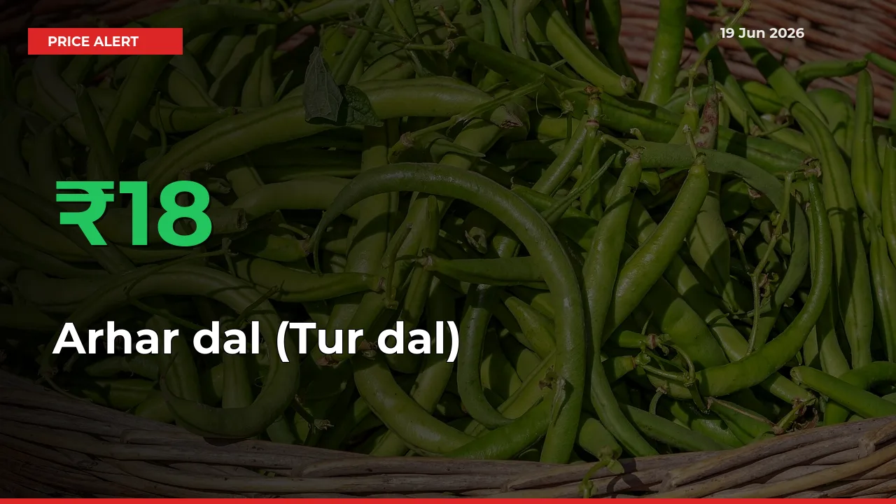Farmers Cheer as Arhar dal (Tur dal) Prices Surge 17.92% in Local Mandis