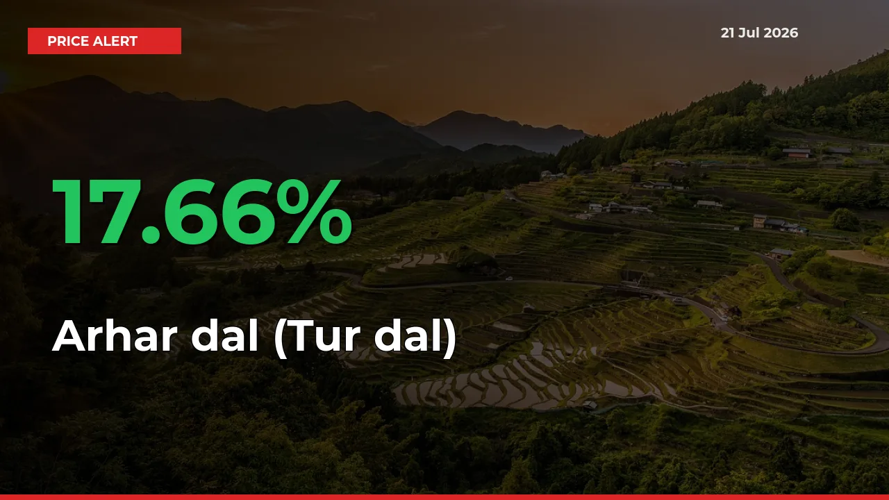 Arhar dal (Tur dal) Prices Rise 17.66% in a Day at Major Mandis