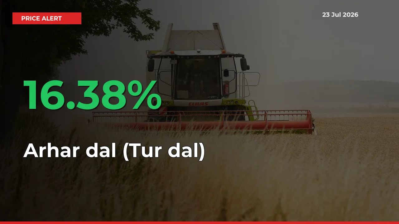 Why Arhar dal (Tur dal) Prices Rose 16.38% in a Day at Mandis