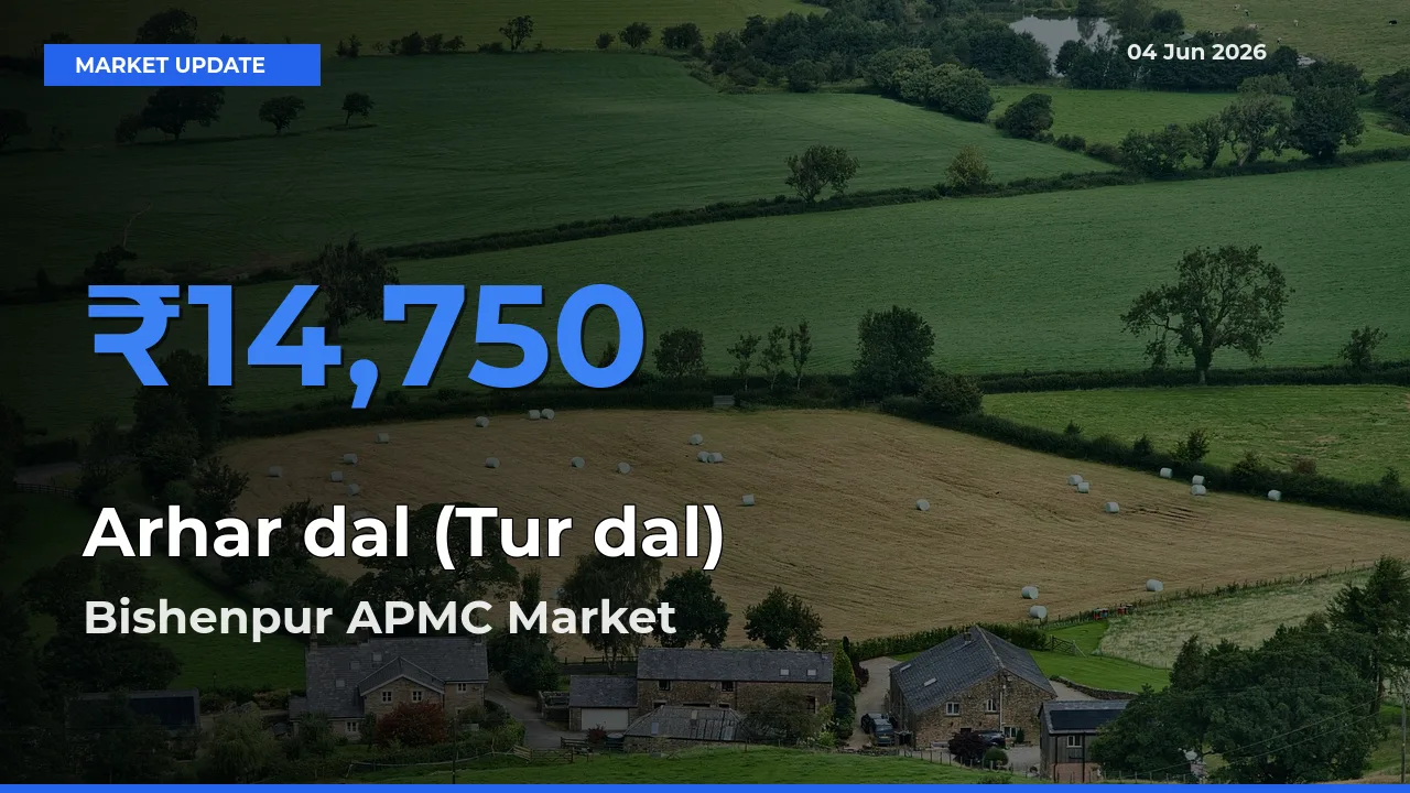 Market Watch: Bishenpur APMC Becomes Top Mandi for Arhar dal (Tur dal)
