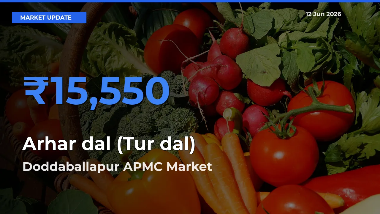 Farmers Prefer Doddaballapur APMC as Arhar dal (Tur dal) Hits Highest Rate