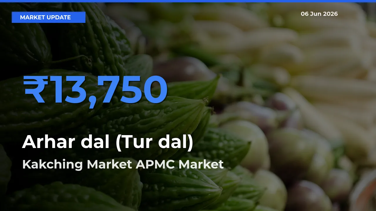 Farmers Prefer Kakching Market APMC as Arhar dal (Tur dal) Hits Highest Rate