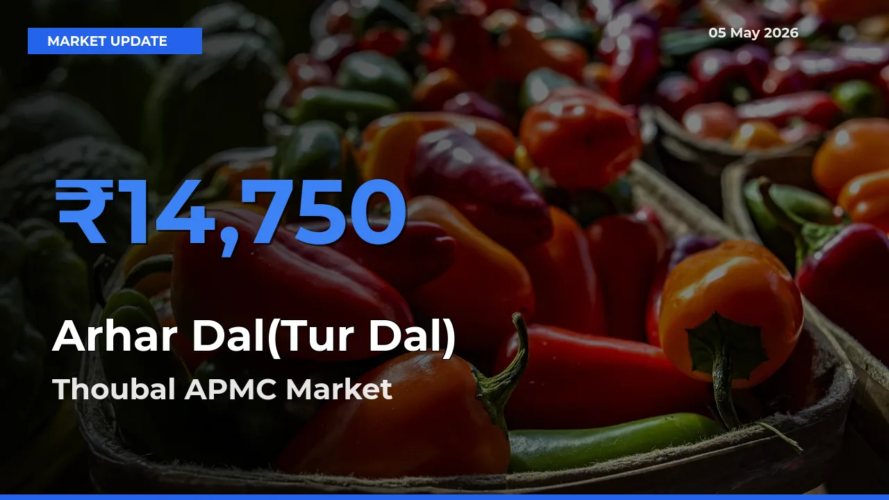 Thoubal APMC Emerges as Top Mandi for Arhar Dal(Tur Dal) Prices Today