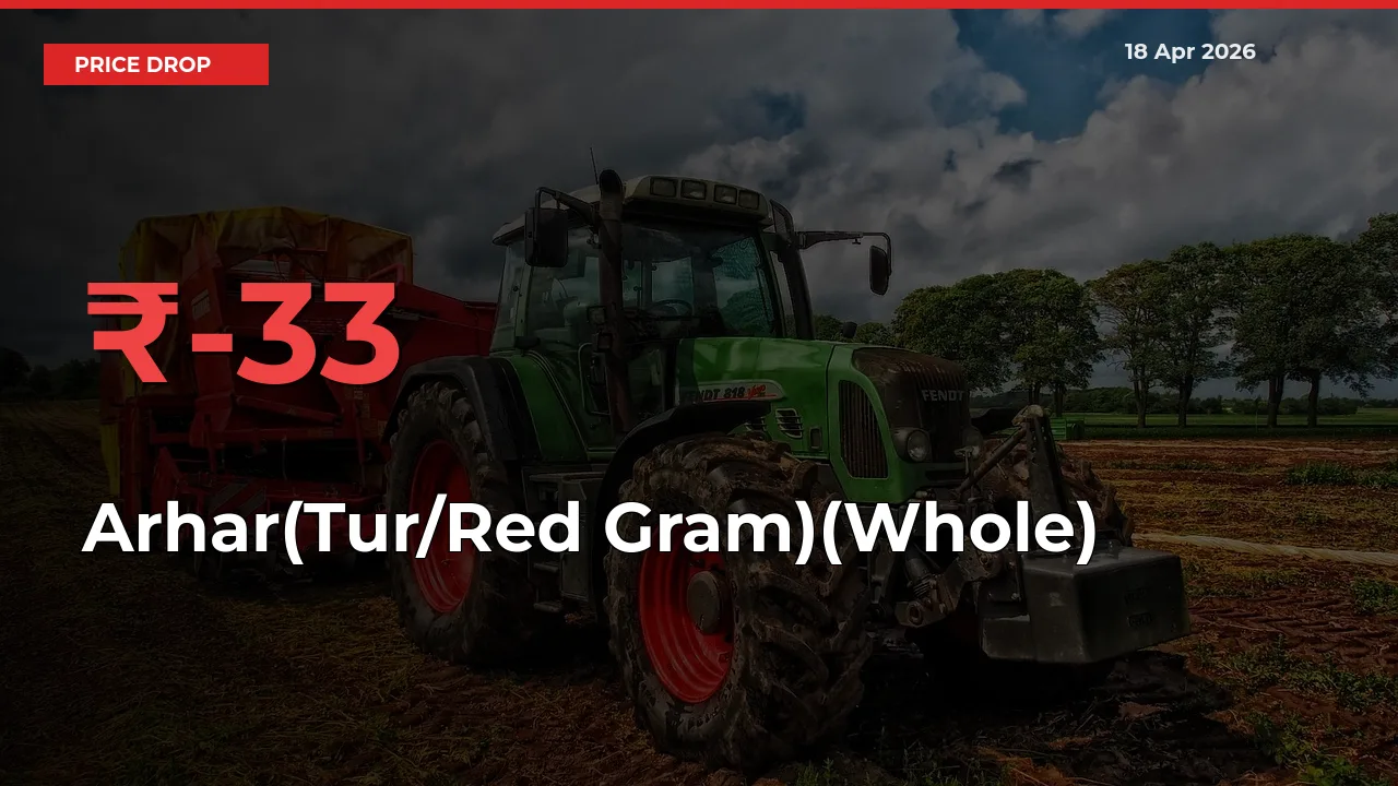 Arhar(Tur/Red Gram)(Whole) Mandi Rate Today: Prices Fall 32.92% at Market