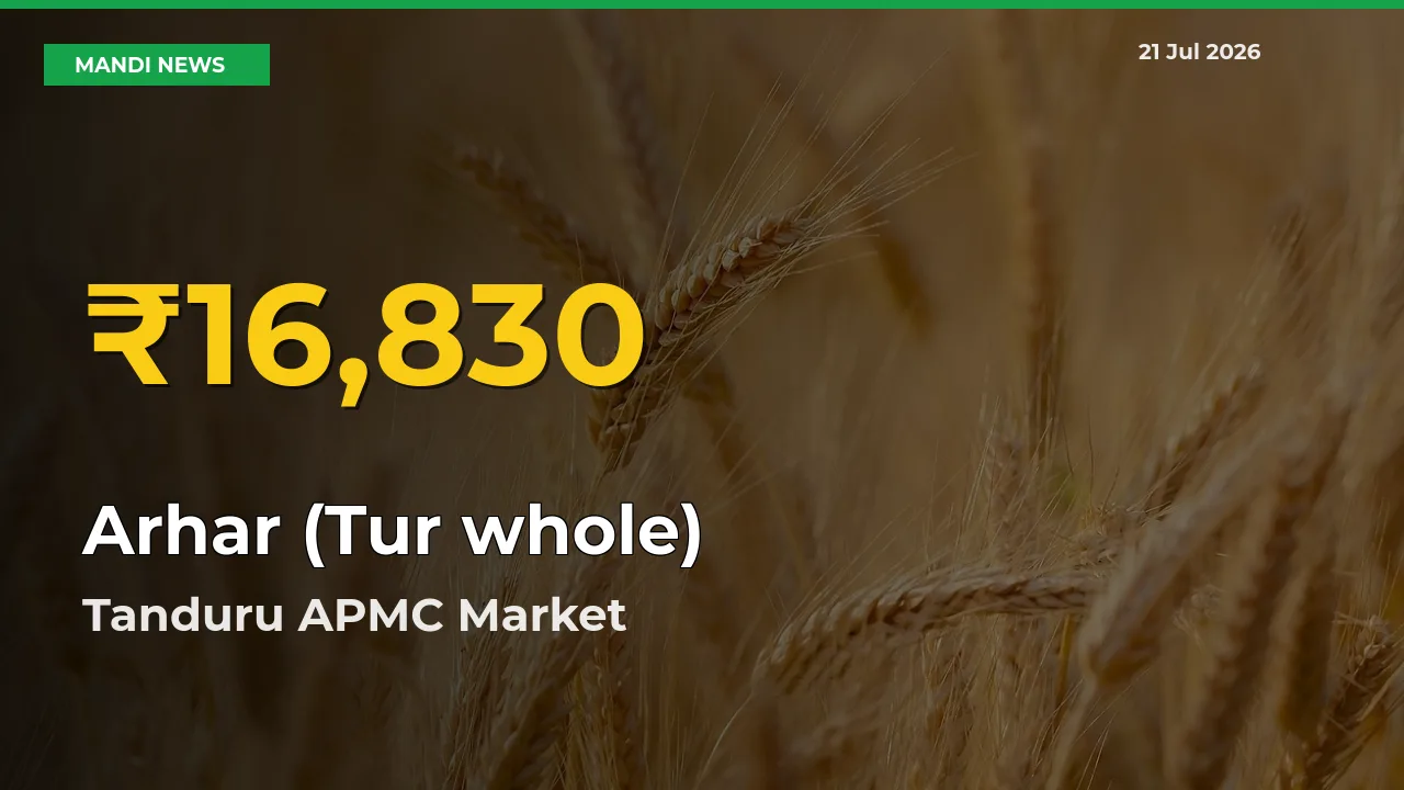Arhar (Tur whole) Prices Soar to Record High in Tanduru APMC – Farmers Alert Today