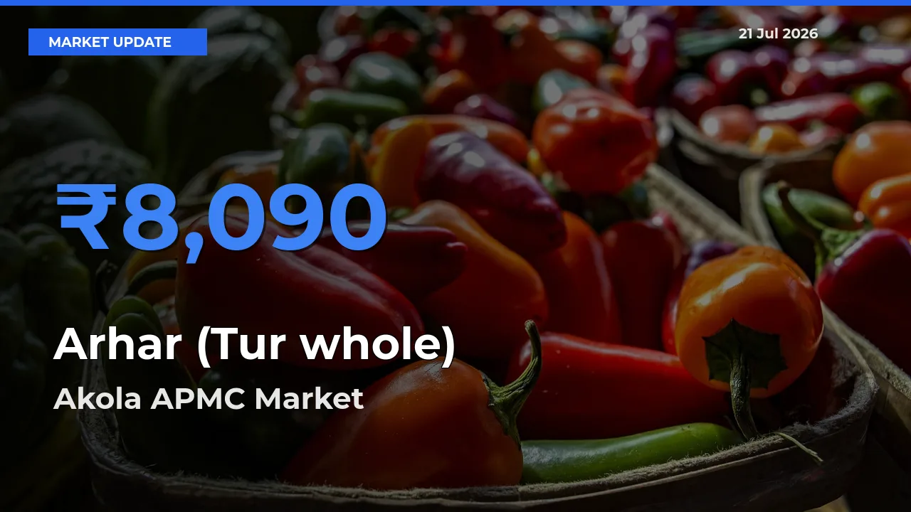 Akola APMC Tops Arhar (Tur whole) Mandi Rates Today