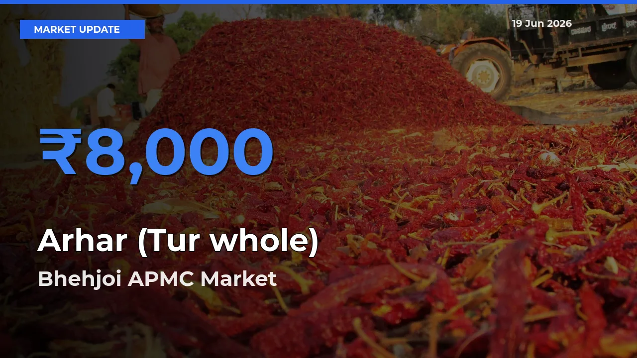 Farmers Prefer Bhehjoi APMC as Arhar (Tur whole) Hits Highest Rate
