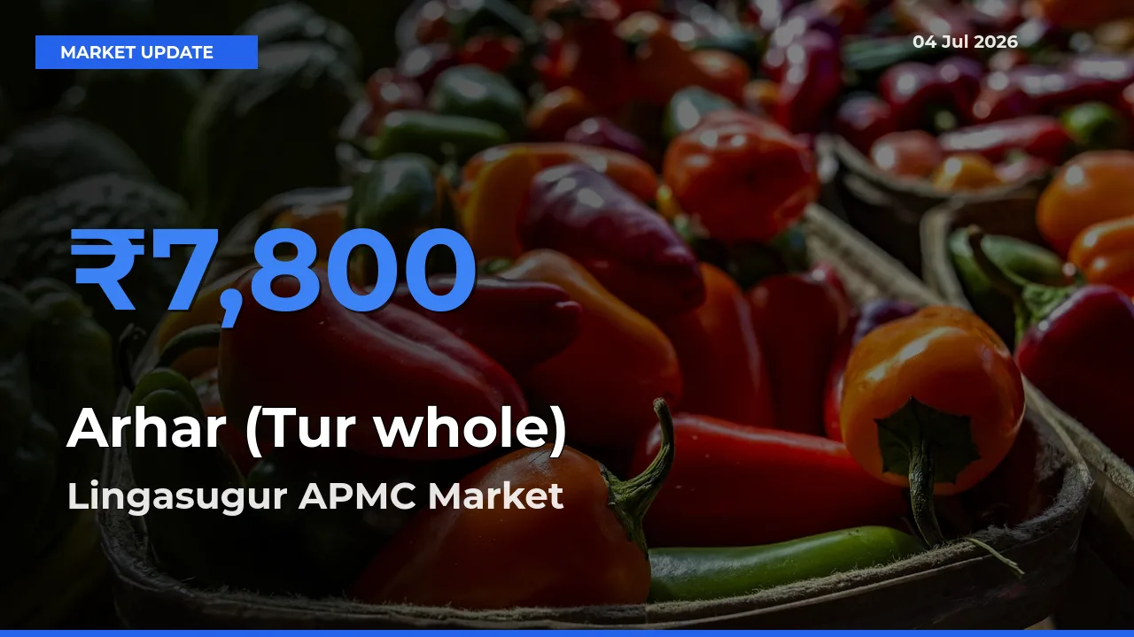 Lingasugur APMC Tops Arhar (Tur whole) Rates – July 04 Market Update