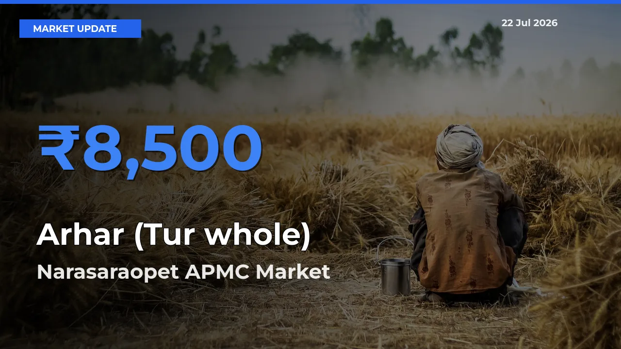 Narasaraopet APMC Emerges as Top Mandi for Arhar (Tur whole) Prices Today