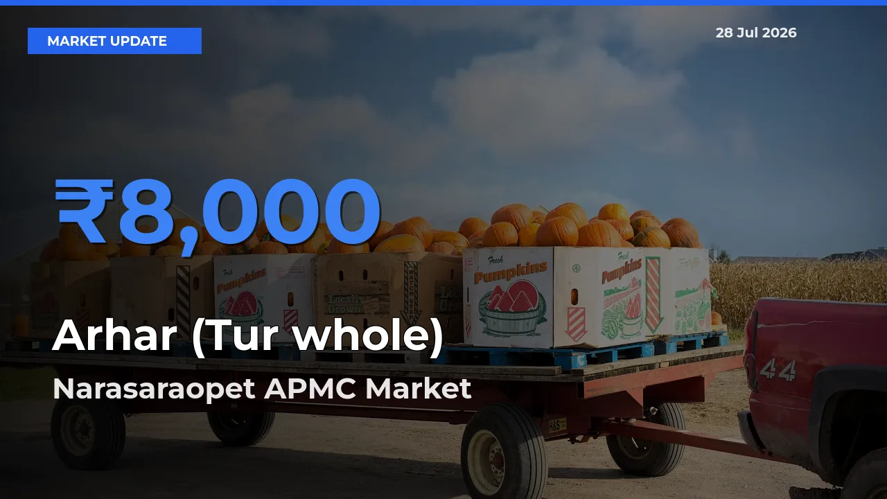 Top Performer! Narasaraopet APMC, Palnadu, Andhra Pradesh Offers Best Arhar (Tur whole) Price Today