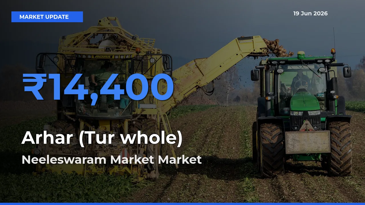 Neeleswaram Market Offers ₹14,400 – Highest Arhar (Tur whole) Rate Today