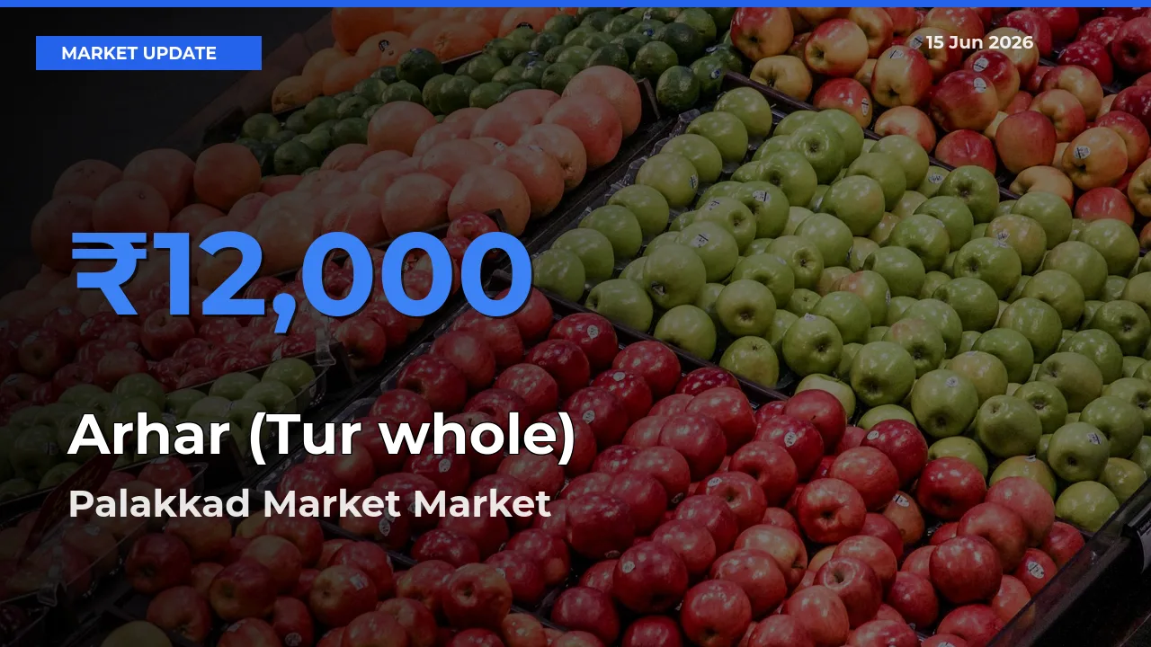 Palakkad Market Emerges as Top Mandi for Arhar (Tur whole) Prices Today