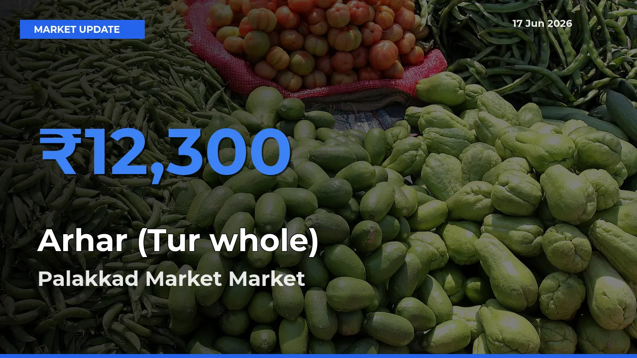 Market Watch: Palakkad Market Becomes Top Mandi for Arhar (Tur whole)