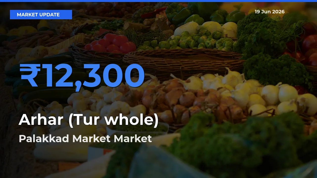 Market Watch: Palakkad Market Becomes Top Mandi for Arhar (Tur whole)