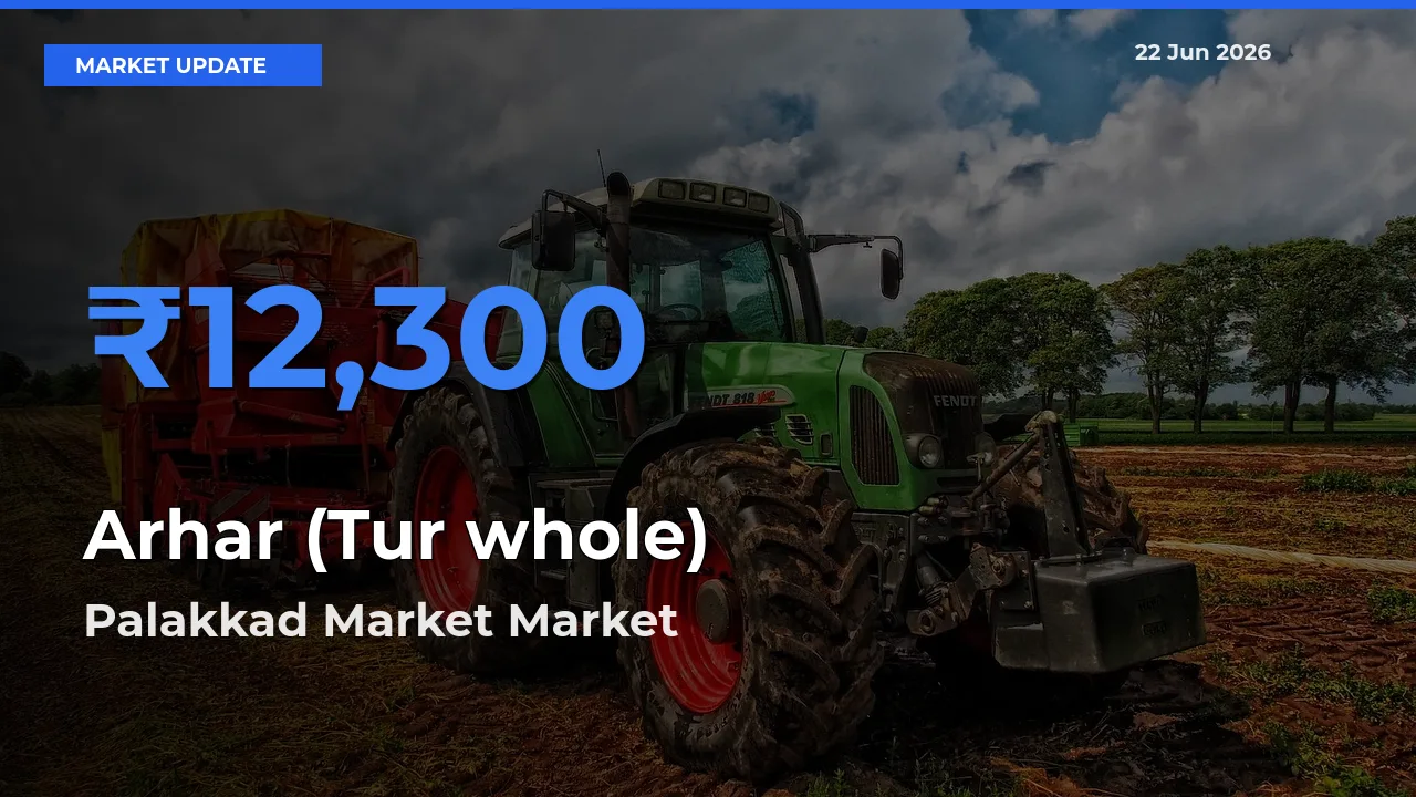 Farmers Prefer Palakkad Market as Arhar (Tur whole) Hits Highest Rate